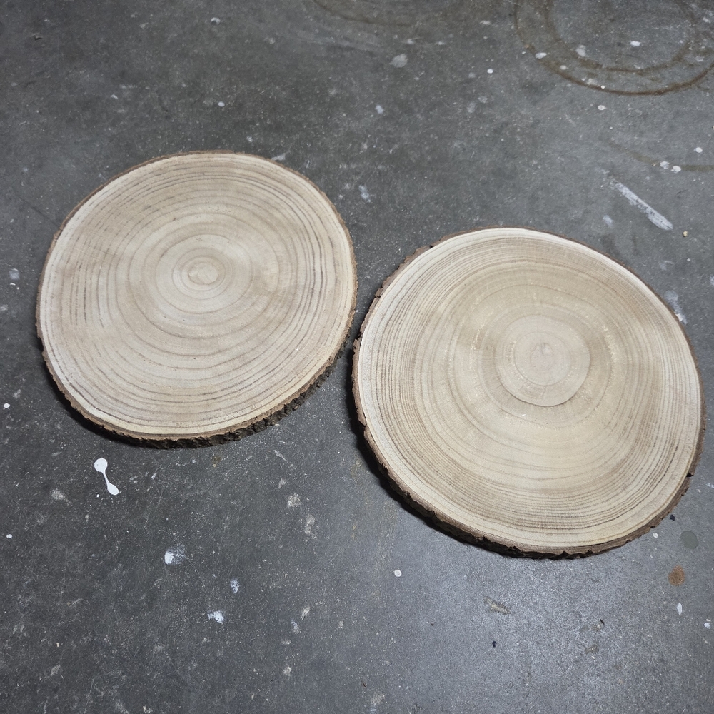 12” Rustic Wood Slice Décor | Farmhouse Cottage Woodland Set Of 2